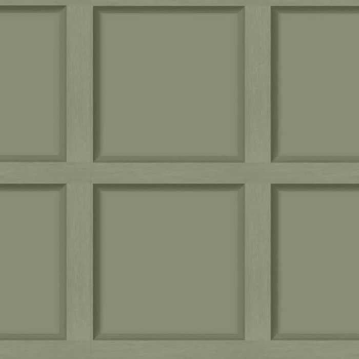 Plain Green Wallpaper. Sage Green aesthetic wallpaper