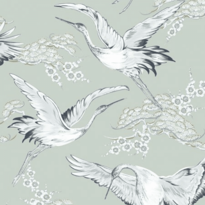 Mint green bird inspired themed wallpapers 