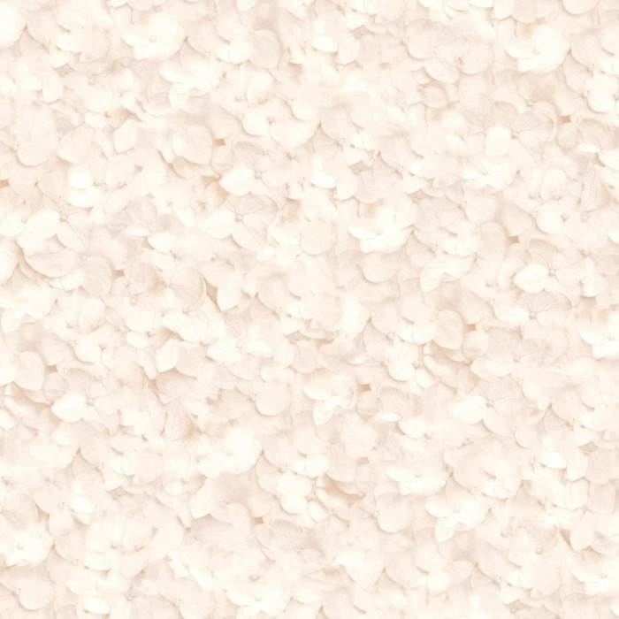 Pink Hydrangea wallpaper